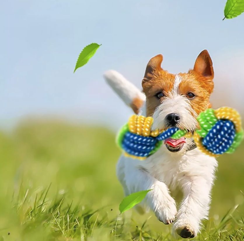PET TOYS